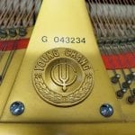 Young Chang Baby Grand serial